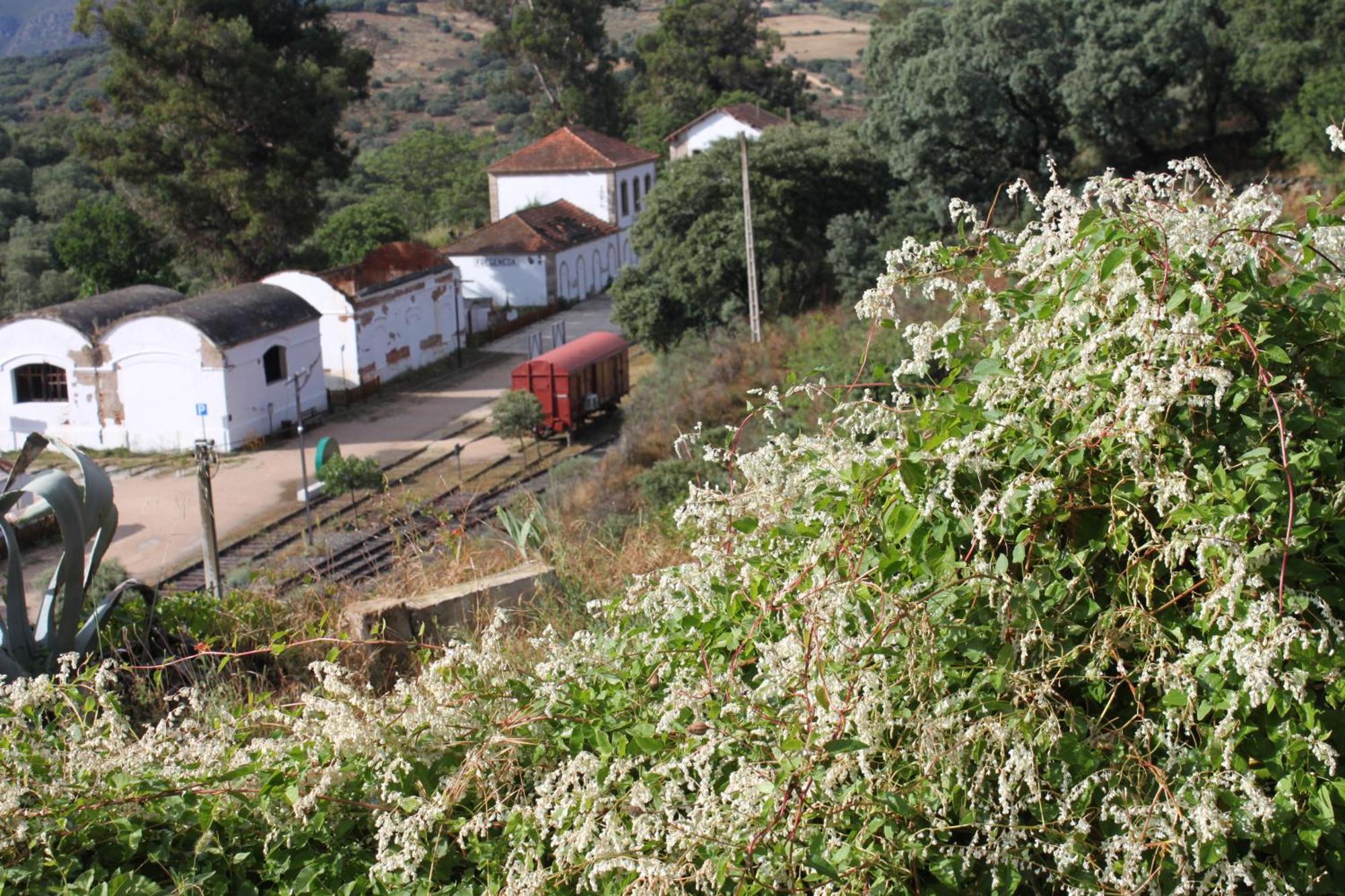 Casa Rural Camino De Hierro I Y II La Fregeneda ภายนอก รูปภาพ